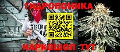 альфа пвп Донецк