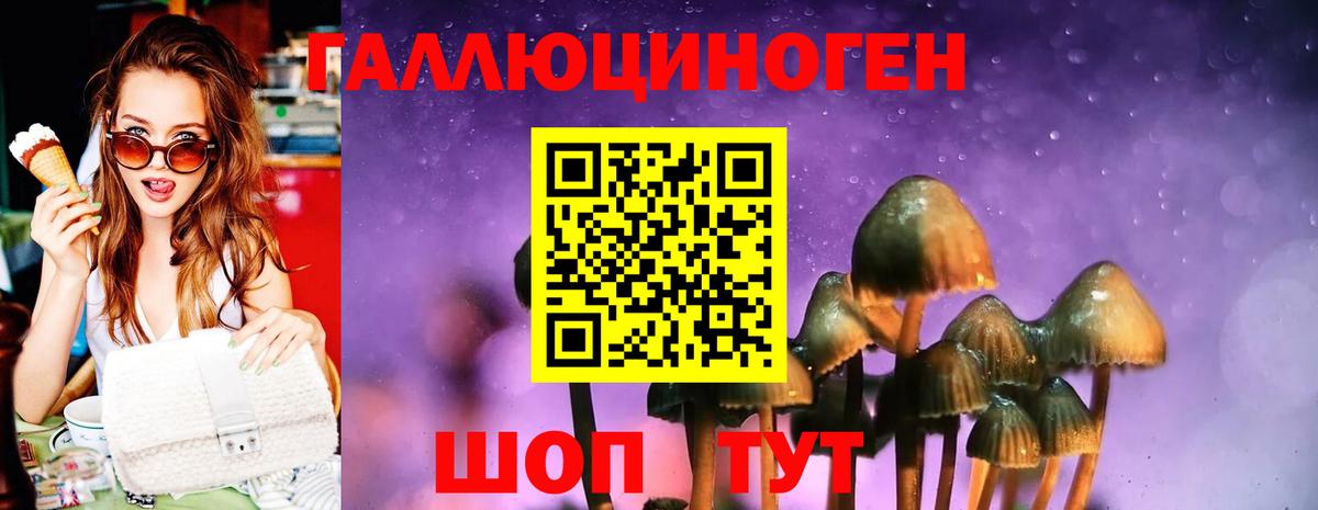 Галлюциногенные грибы мицелий  Вход с VPN  закладки  Биробиджан 